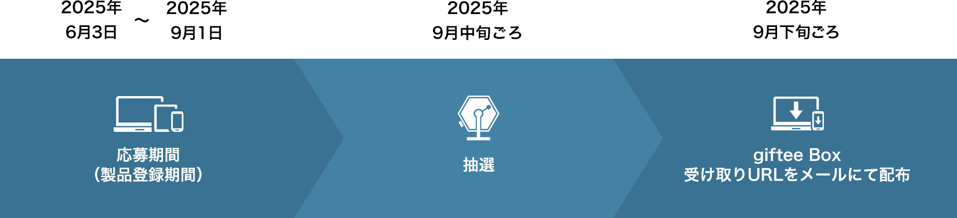 キャンペーンスケジュール